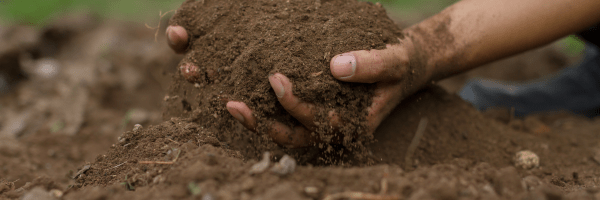 The Role of MicroXRF in Advancing Soil Science