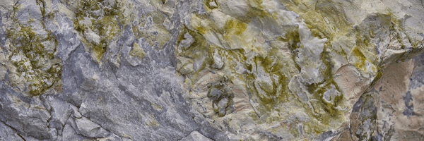 Analysis of Complex Petrological Thin Sections – A MicroXRF Case Study on Ledmore Quarry Samples